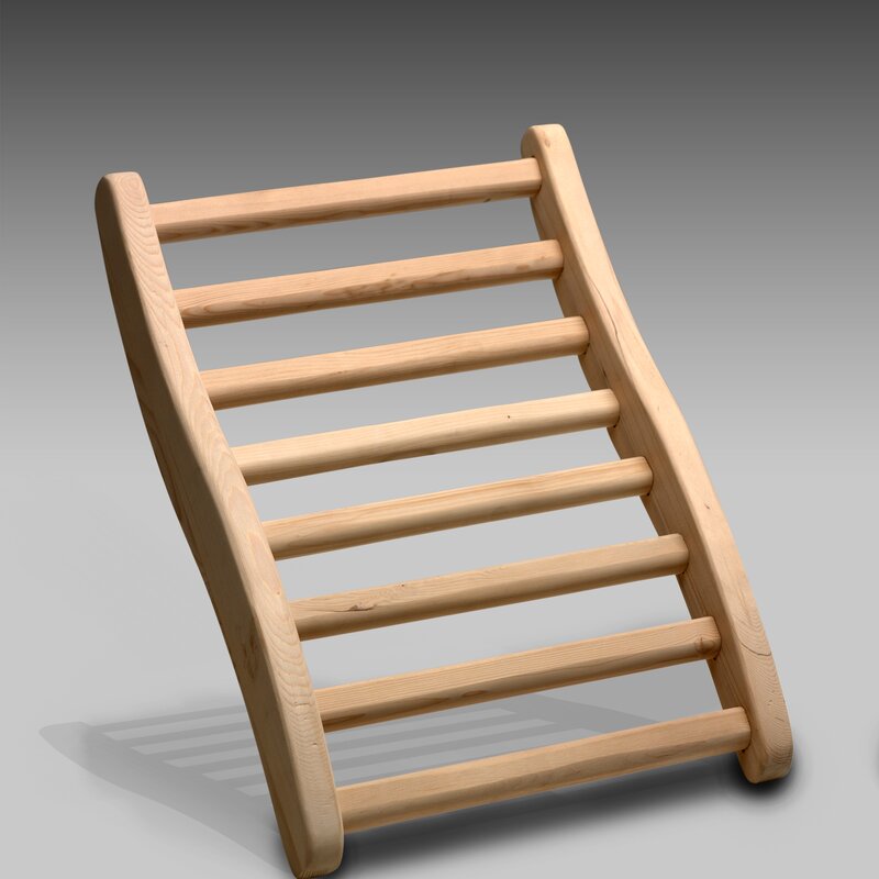 Engonomic Back Rest - Promo Code "free" for a pair of FREE Back rest